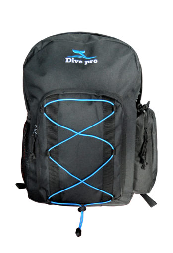 Black Backpack bag